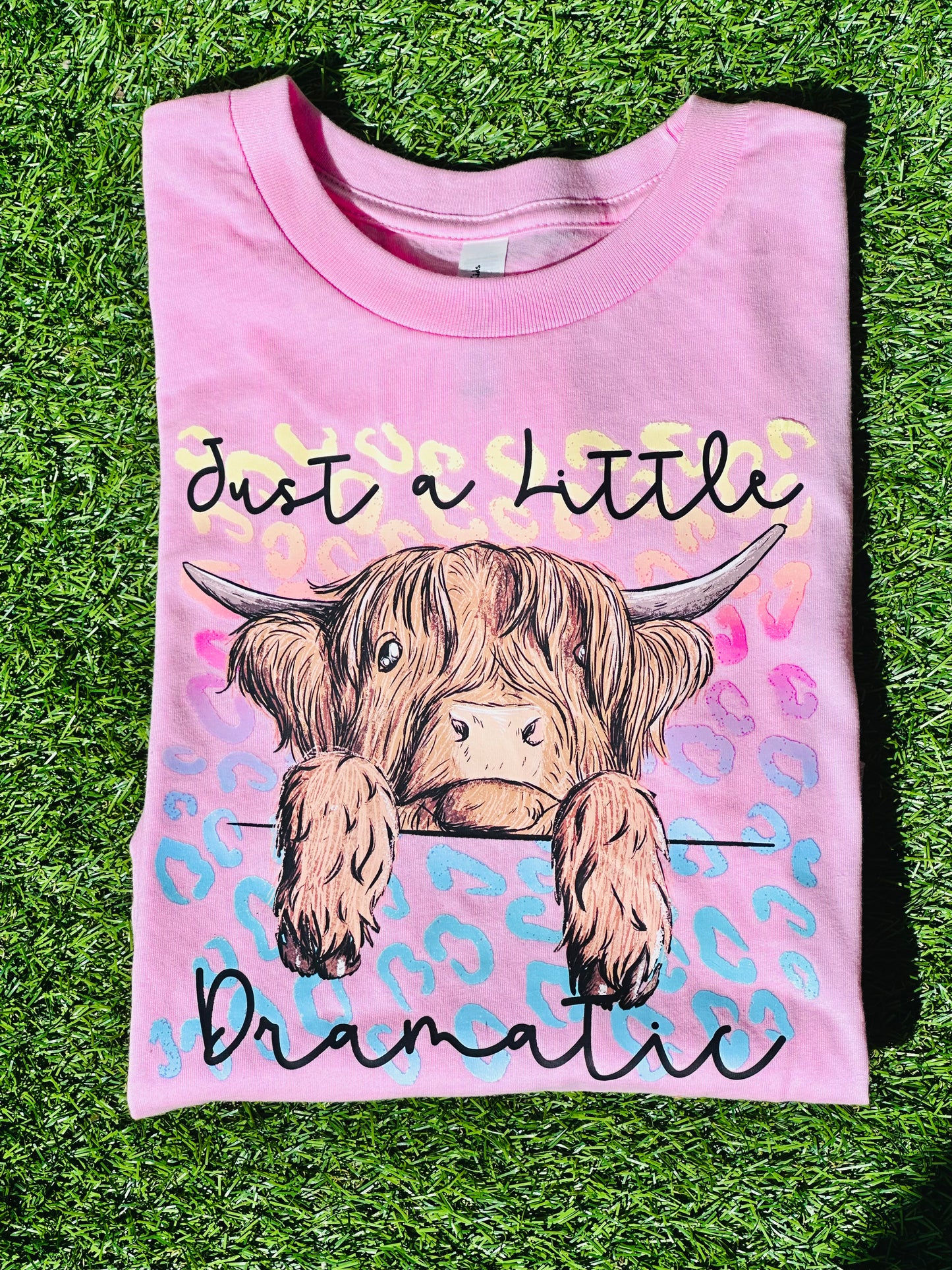 YOUTH + ADULT Just A Little Dramatic Highland Cow T-Shirt