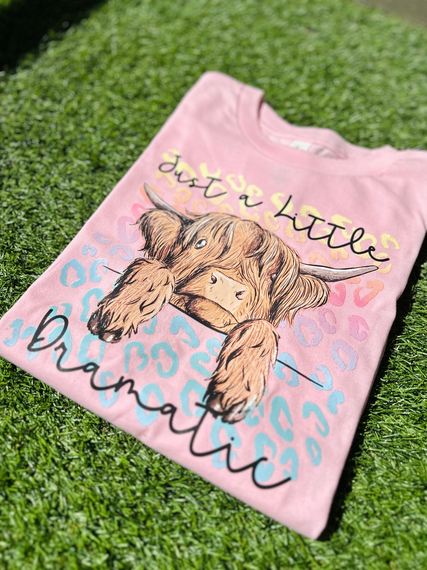 YOUTH + ADULT Just A Little Dramatic Highland Cow T-Shirt